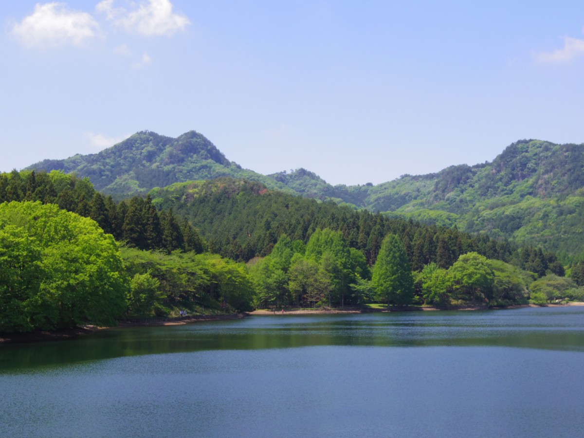 今富ダム公園